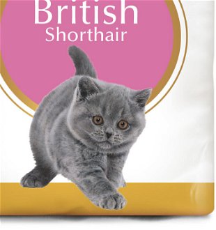 RC cat  KITTEN BRITISH shorthair - 400g 9
