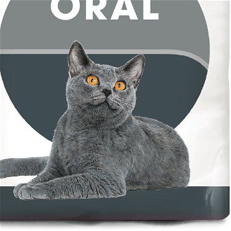 RC cat    ORAL care - 3,5kg 9