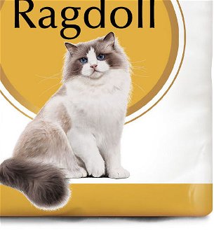 RC cat  RAGDOLL - 10kg 9
