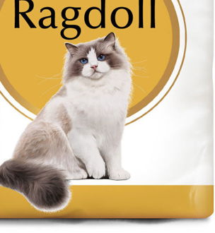 RC cat RAGDOLL - 2kg 9