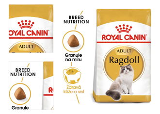 RC cat RAGDOLL - 2kg 4