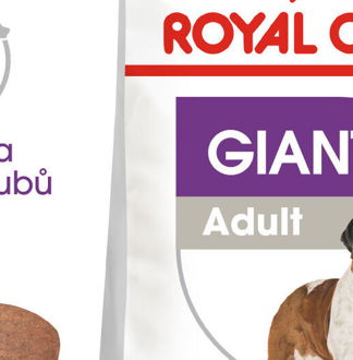 RC GIANT ADULT - 15kg 5