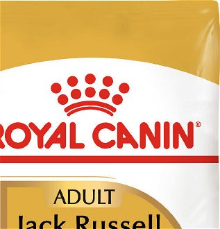 RC JACK RUSSELL - 1,5kg 7