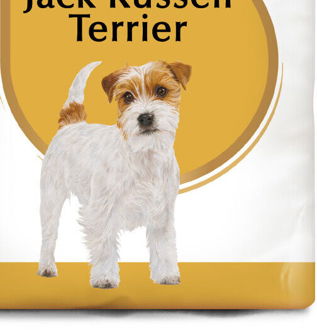 RC JACK RUSSELL - 1,5kg 9