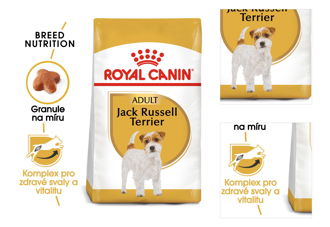RC JACK RUSSELL - 1,5kg 3