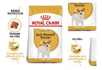 RC JACK RUSSELL - 3kg 3