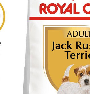 RC JACK RUSSELL - 3kg 5