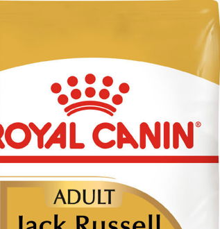 RC JACK RUSSELL - 500g 7
