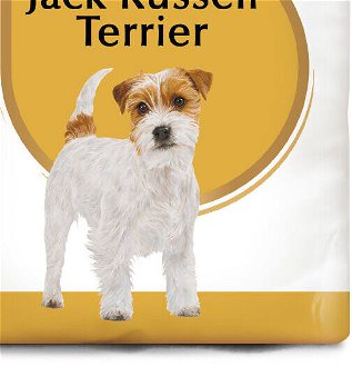 RC JACK RUSSELL - 500g 9