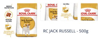 RC JACK RUSSELL - 500g 1