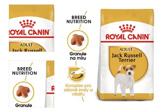 RC JACK RUSSELL - 500g 4