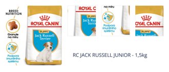 RC JACK RUSSELL JUNIOR - 1,5kg 1