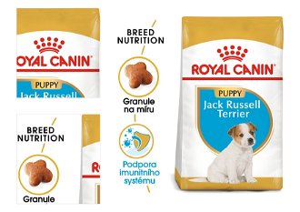 RC JACK RUSSELL JUNIOR - 500g 4