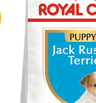 RC JACK RUSSELL JUNIOR - 500g 5