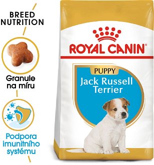 RC JACK RUSSELL JUNIOR - 500g 2