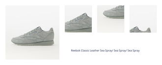 Reebok Classic Leather Sea Spray/ Sea Spray/ Sea Spray 1