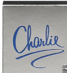 Revlon Charlie Silver - EDT 100 ml 6