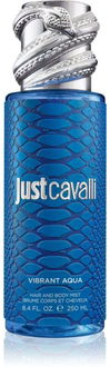 Roberto Cavalli Just Cavalli Vibrant Aqua parfémovaný telový sprej pre ženy 250 ml