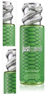 Roberto Cavalli Just Cavalli Wild Orchard parfémovaný telový sprej pre ženy 250 ml 4