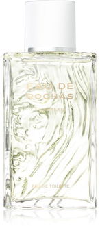 Rochas Eau de Rochas Homme toaletná voda pre mužov 100 ml 2