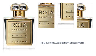 Roja Parfums Aoud parfém unisex 100 ml 1