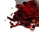 Romantická ruža - organické telové suflé® XXL balenie 255ml 8