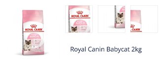Royal Canin Babycat 2kg 1