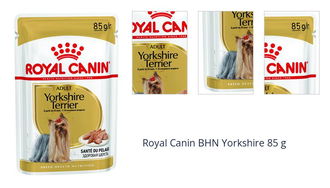 Royal Canin BHN Yorkshire 85 g 1