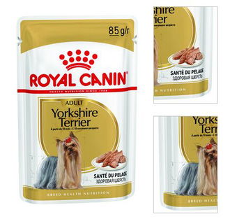 Royal Canin BHN Yorkshire 85 g 3