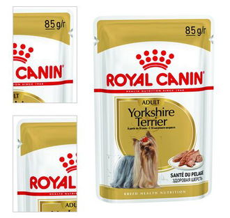 Royal Canin BHN Yorkshire 85 g 4