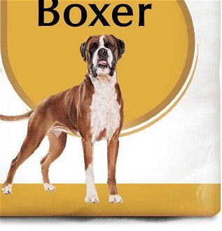 Royal Canin BOXER - 12kg 9