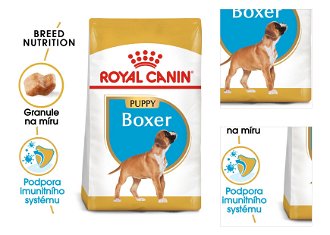 Royal Canin Boxer Puppy - granule pre šteňa boxera - 12kg 3