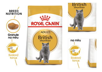 Royal Canin BRITISH SHORTHAIR - 2kg 3