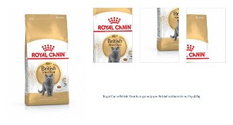 Royal Canin British Shorthair granuly pre Britské krátkosrsté mačky 400g 1