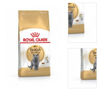 Royal Canin British Shorthair granuly pre Britské krátkosrsté mačky 400g 3