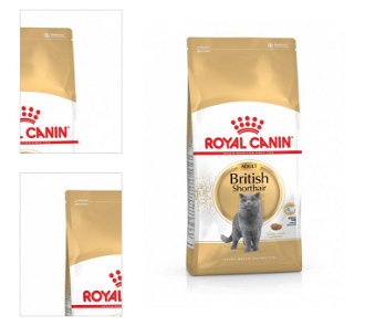 Royal Canin British Shorthair granuly pre Britské krátkosrsté mačky 400g 4