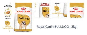Royal Canin BULLDOG - 3kg 1