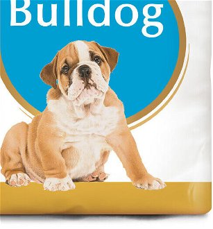 Royal Canin BULLDOG JUNIOR - 3kg 9