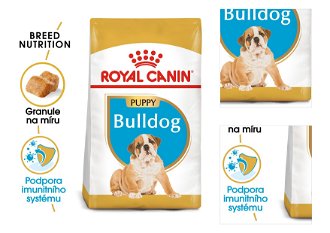 Royal Canin BULLDOG JUNIOR - 3kg 3