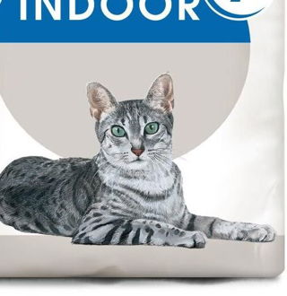 Royal Canin cat INDOOR + 7 - 400g 9