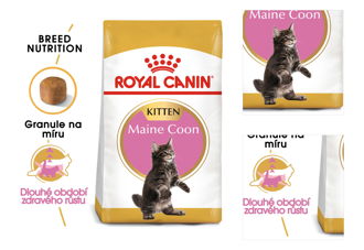 Royal Canin cat KITTEN MAIN COON - 10kg 3
