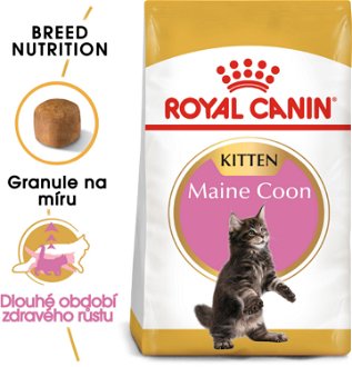 Royal Canin cat   KITTEN MAIN COON - 10kg