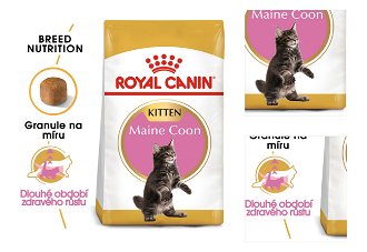 Royal Canin cat   KITTEN MAIN COON - 400g 3