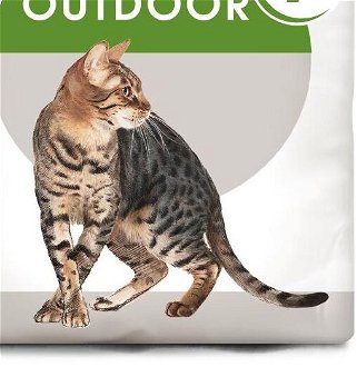 Royal Canin cat   OUTDOOR + 7   - 400g 9