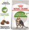 Royal Canin cat   OUTDOOR + 7   - 400g