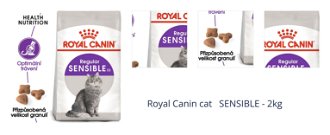 Royal Canin cat   SENSIBLE - 2kg 1