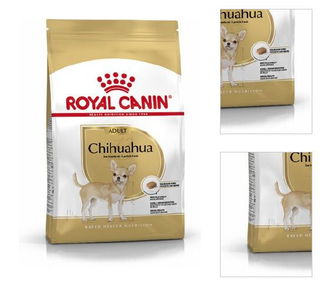 Royal Canin chihuahua Adult granuly pre čivavy 500g 3