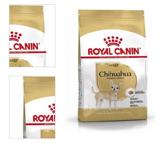 Royal Canin chihuahua Adult granuly pre čivavy 500g 4