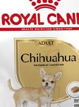 Royal Canin chihuahua Adult granuly pre čivavy 500g 5