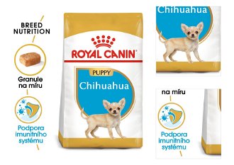 Royal Canin Chihuahua JUNIOR - 500g 3